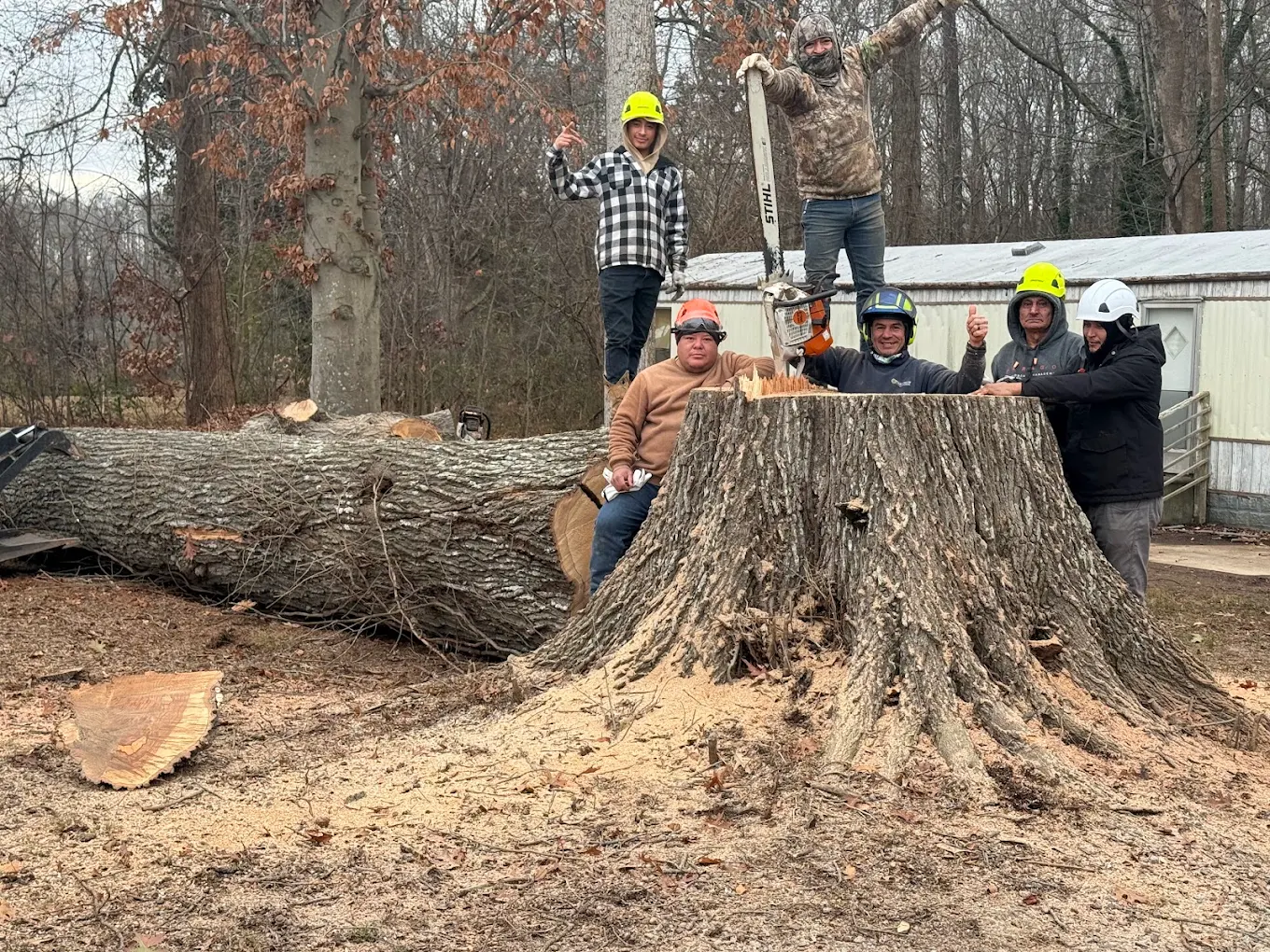 My Crew Tree Service crew at work in Charlotte, NC